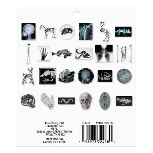 Halloween Bones & X-Rays Die Cut Ephemera by Recollections™